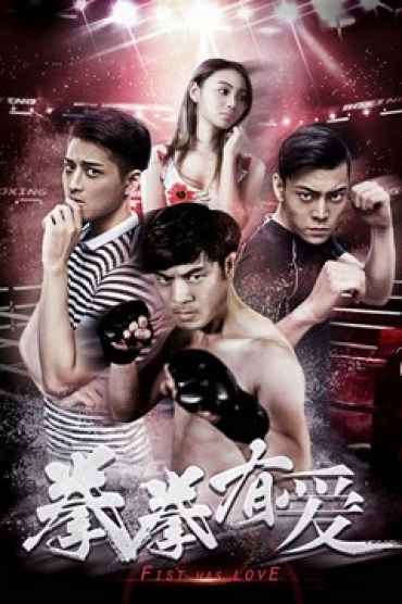 Yêu Boxer