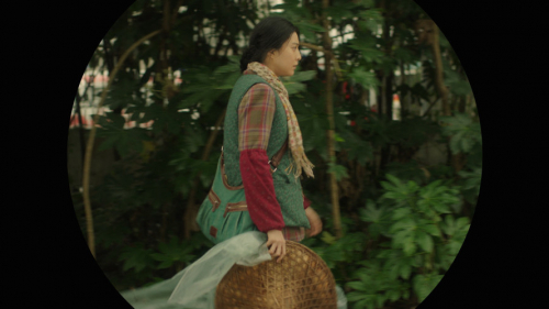 Tôi Không Phải Phan Kim Liên