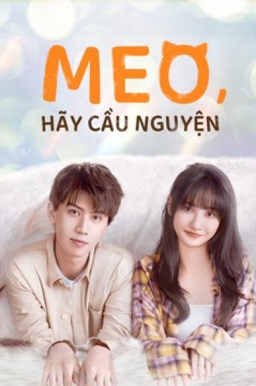 Meo, Hãy Cầu Nguyện