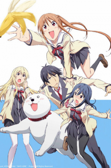 Cô Nàng Ngốc - Aho Girl