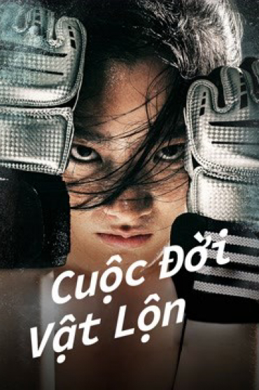 Cuộc Đời Vật Lộn