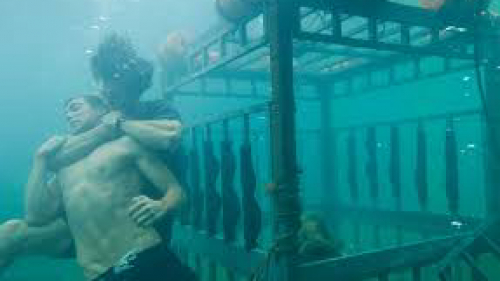 Shark Night 3D