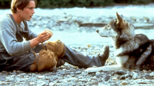 White Fang