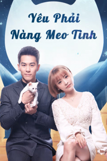 Yêu Phải Nàng Meo Tinh