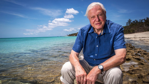 Khám Phá Rạn San Hô Great Barrier cùng David Attenborough