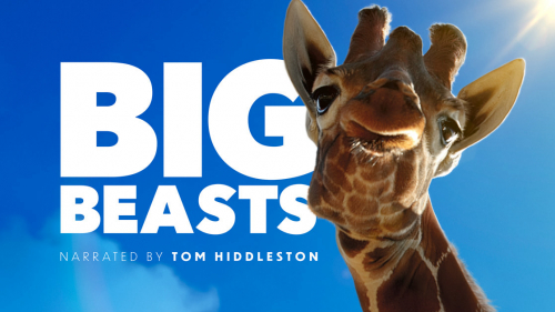 Big Beasts