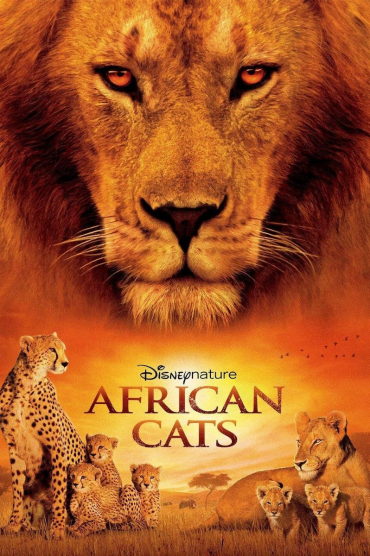 African Cats