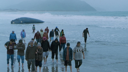 Whale Rider